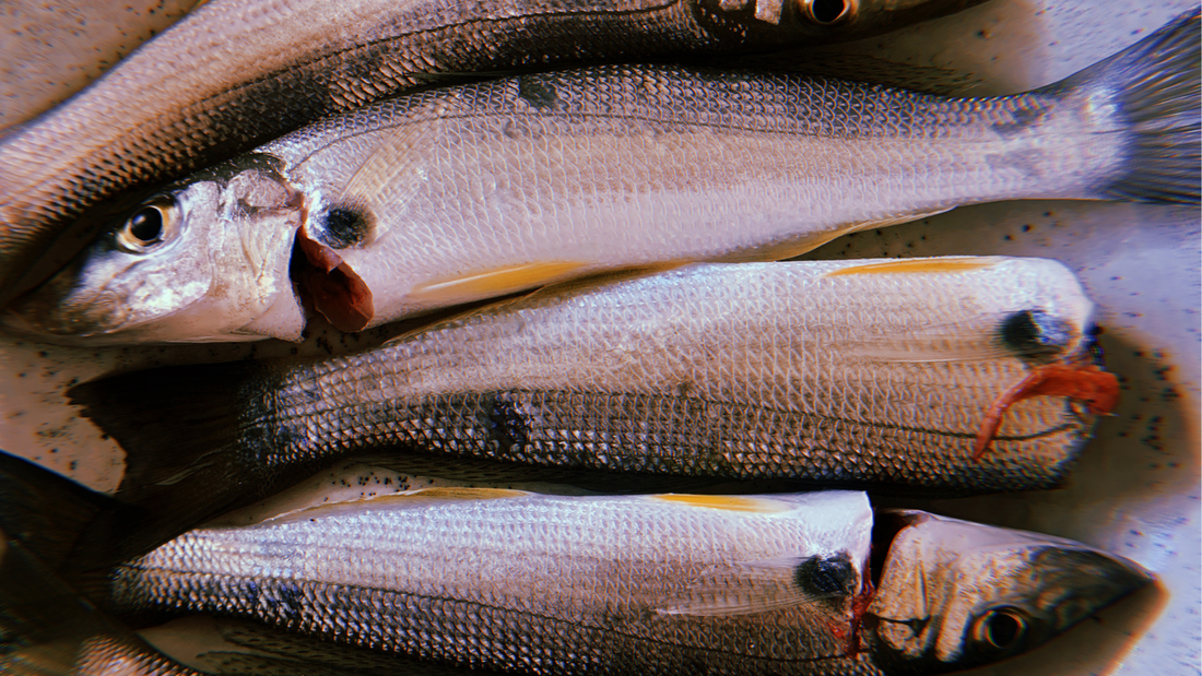 anti-inflammation diet