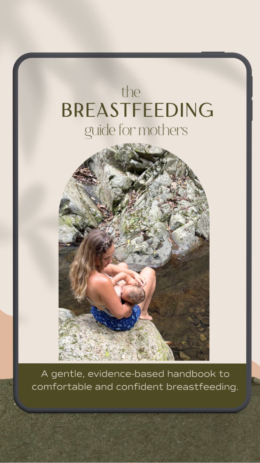 the breastfeeding guide for mothers